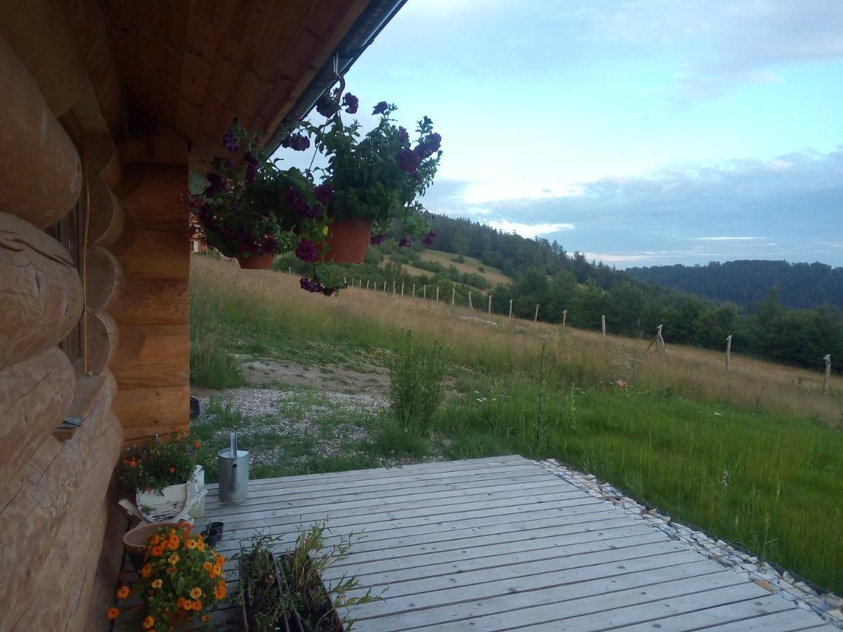 Domek W Gorach Sowich Jugów Dış mekan fotoğraf