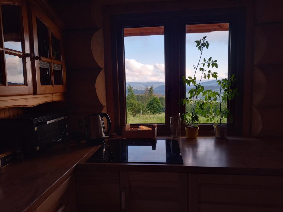 Domek W Gorach Sowich Jugów Dış mekan fotoğraf