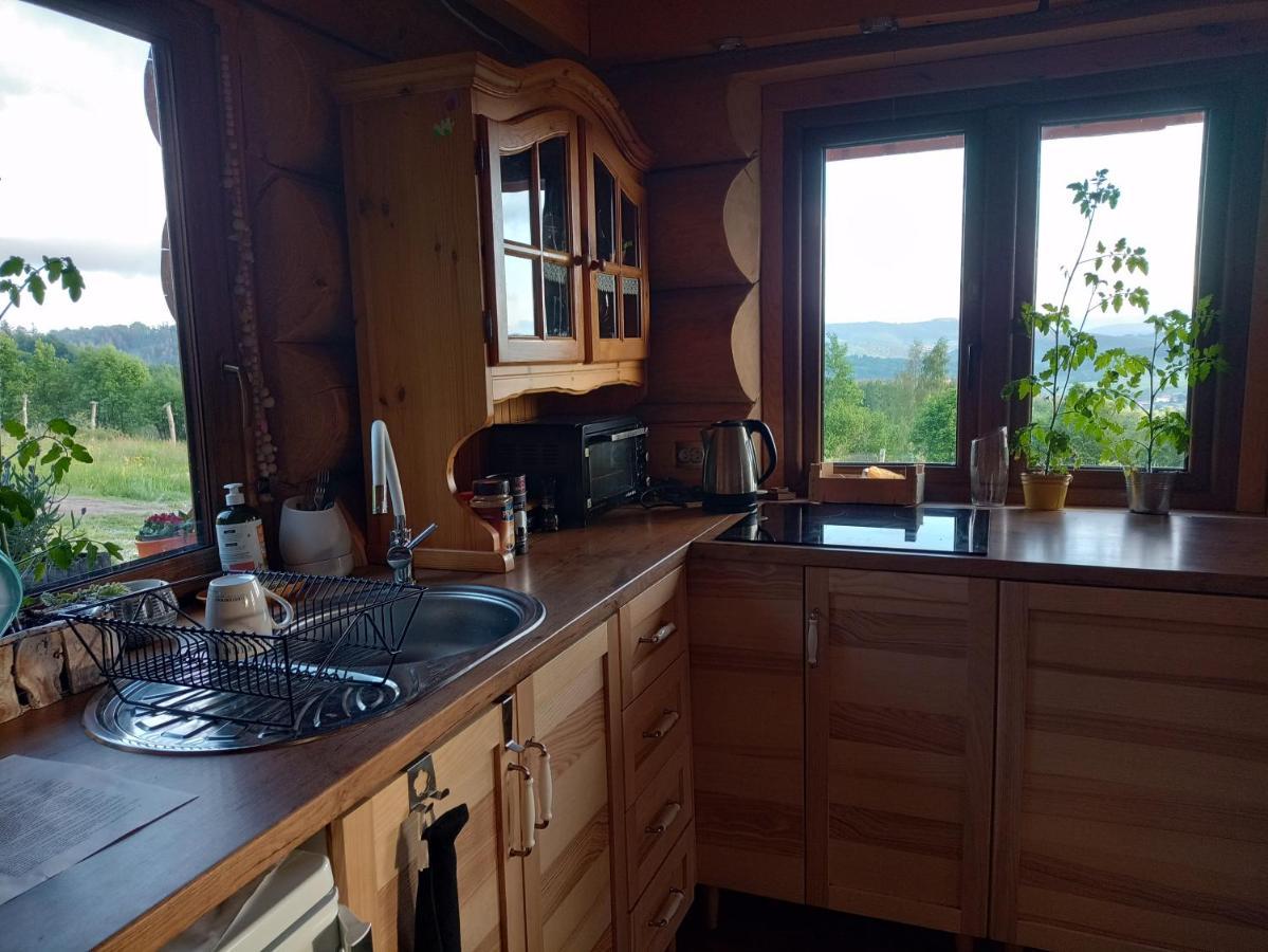 Domek W Gorach Sowich Jugów Dış mekan fotoğraf